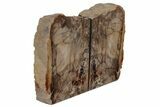 Petrified Wood Bookends - McDermitt, Oregon #195141-1